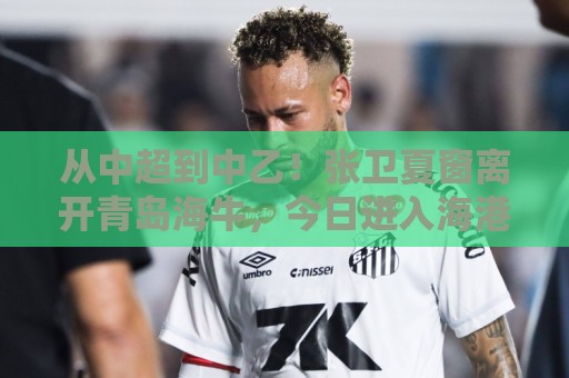 从中超到中乙！张卫夏窗离开青岛海牛，今日进入海港B队替补名单