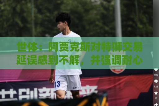世体：阿贾克斯对特狮交易延误感到不解，并强调耐心并非无限