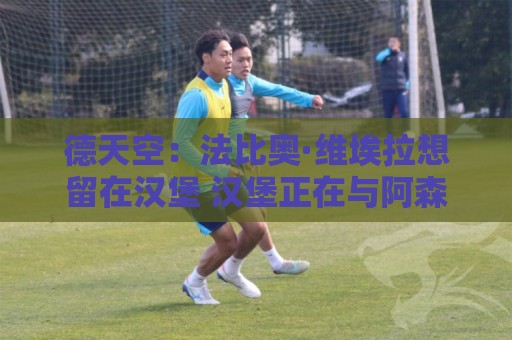 德天空：法比奥·维埃拉想留在汉堡 汉堡正在与阿森纳谈