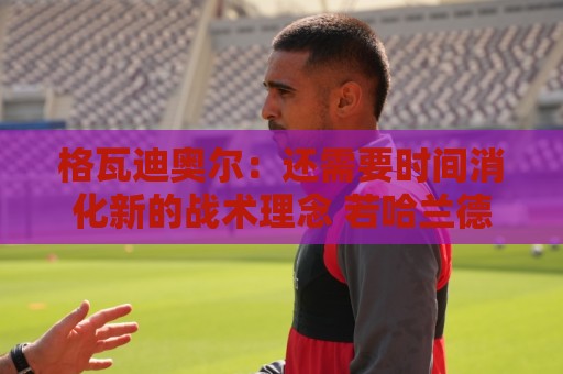 格瓦迪奥尔：还需要时间消化新的战术理念 若哈兰德能来会更好玩