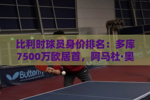 比利时球员身价排名：多库7500万欧居首，阿马杜·奥纳纳4500万欧