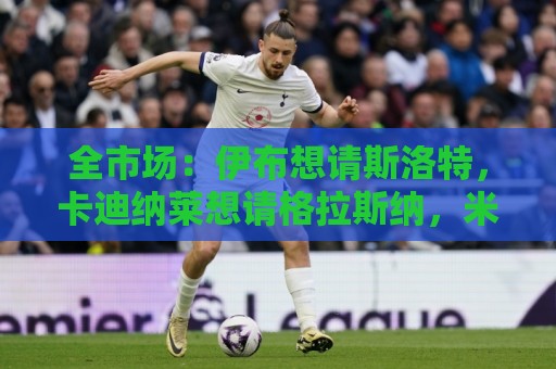 全市场：伊布想请斯洛特，卡迪纳莱想请格拉斯纳，米兰选帅陷僵局