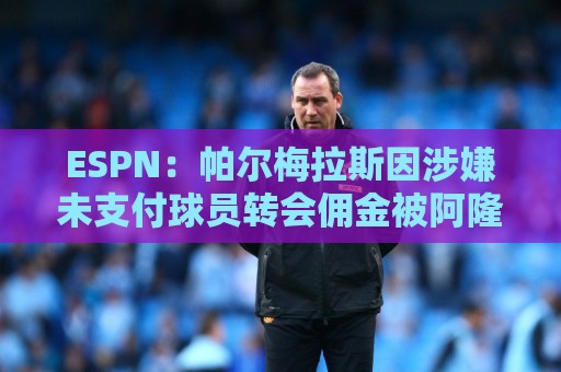 ESPN：帕尔梅拉斯因涉嫌未支付球员转会佣金被阿隆索经纪人起诉
