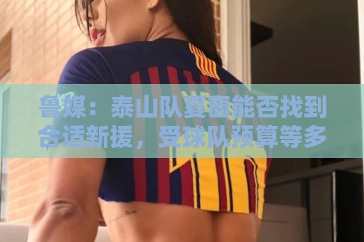 鲁媒：泰山队夏窗能否找到合适新援，受球队预算等多重因素影响