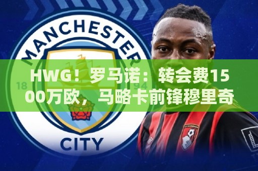 HWG！罗马诺：转会费1500万欧，马略卡前锋穆里奇将加盟费内巴切