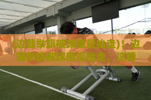 (边裁举旗被球砸晕抬走)！边裁举旗被球砸晕抬走，这精准打击成就年度最惨笑料